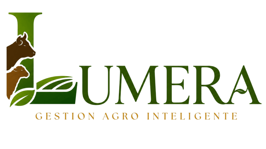 LUMERA Logo